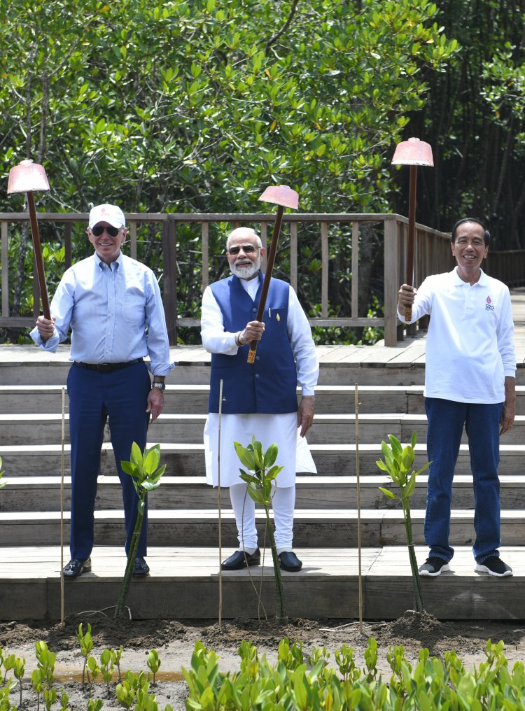प्रधानमंत्री  नरेन्द्र मोदी ने बाली में जी-20 शिखर सम्मेलन के अवसर पर मैंग्रोव वनों का दौरा किया